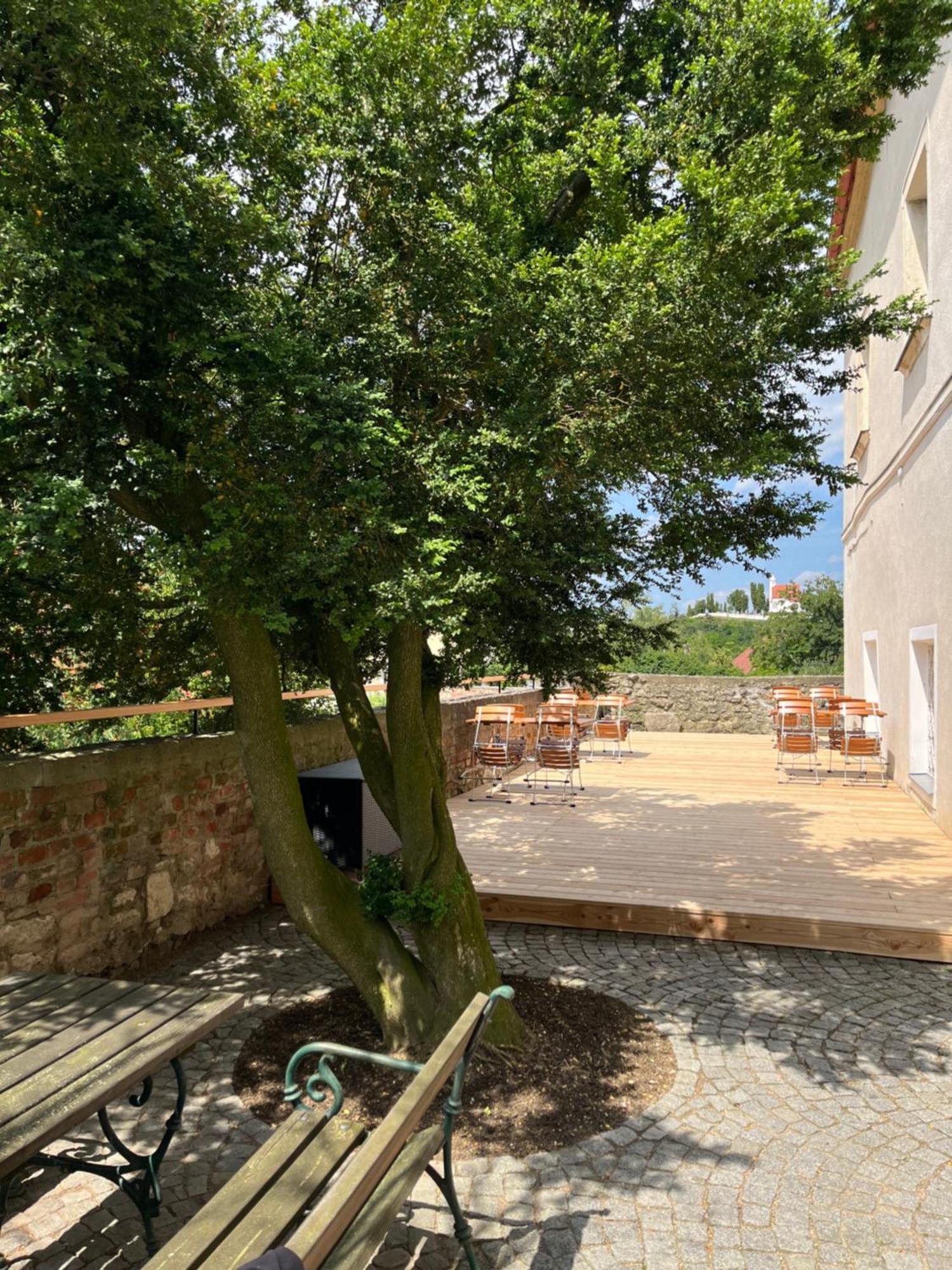 Schlosshotel Mailberg Zewnętrze zdjęcie